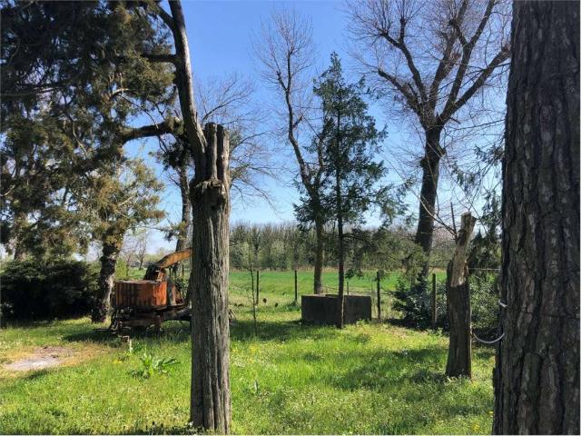 Casa indipendente in vendita a Argenta FE