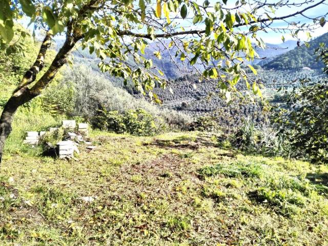 Casa indipendente in vendita a Arrone TR