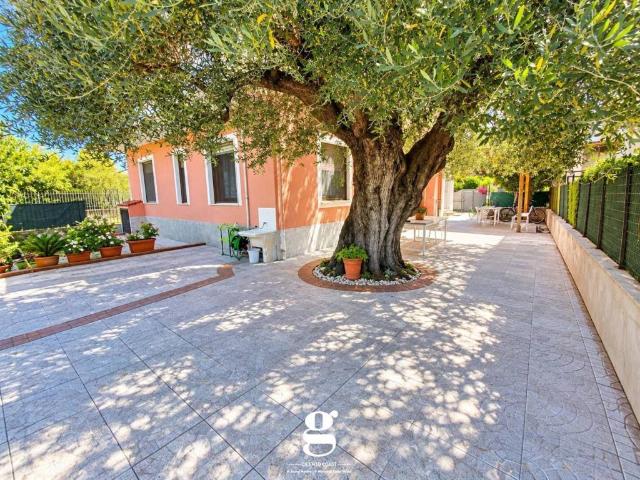 Villa in vendita a Ascea SA