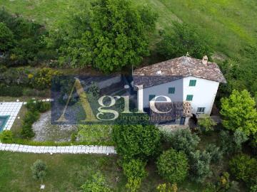 Montadamo, Ascoli Piceno Marche - Giardino