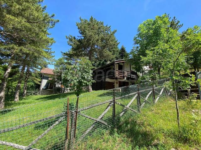 Casa indipendente in vendita a Bolognola via Piane