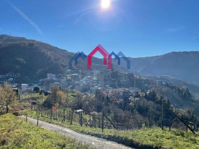 Casa indipendente in vendita a Borgo a Mozzano LU