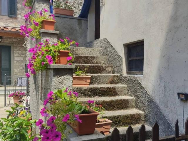 Casa indipendente in vendita a Borgo a Mozzano LU