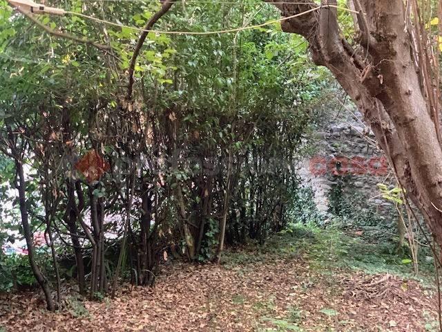 Casa indipendente in vendita a Borgo a Mozzano LU