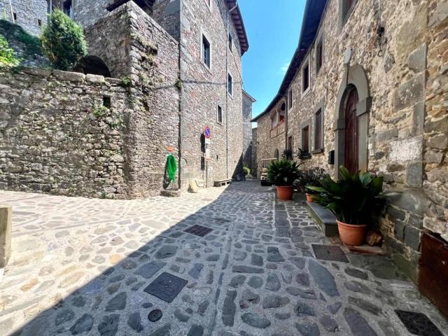 Casa indipendente in vendita a Borgo a Mozzano LU