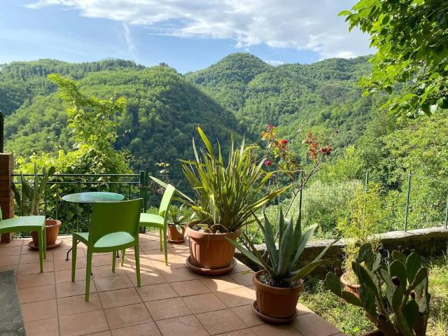 Casa indipendente in vendita a Borgo a Mozzano LU