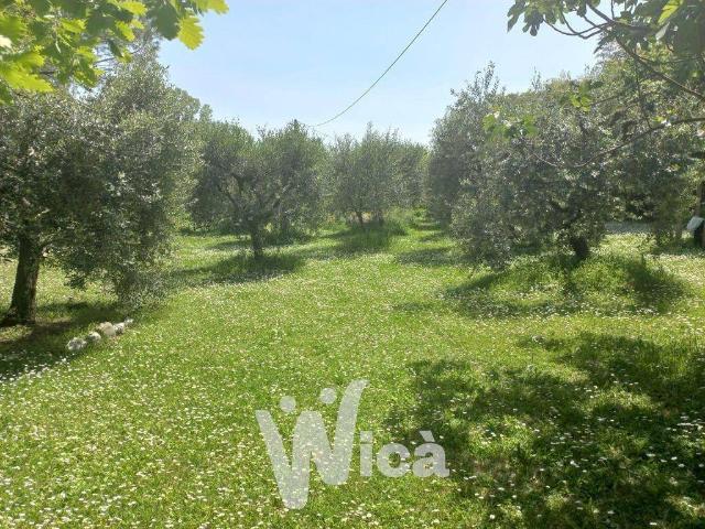 Casa indipendente in vendita a Borghi FC