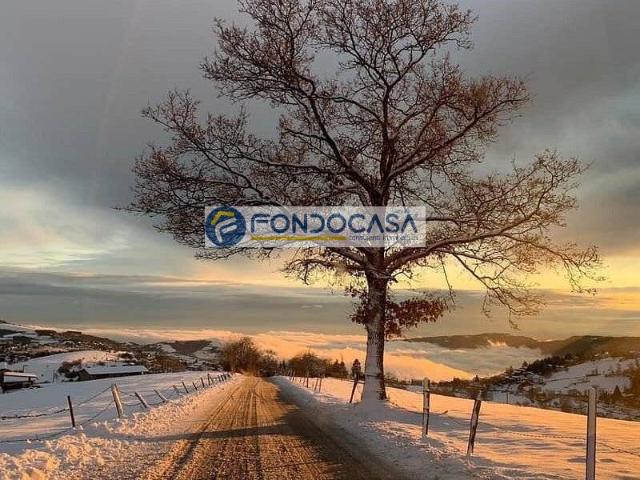 Casa indipendente in vendita a Bosco Chiesanuova