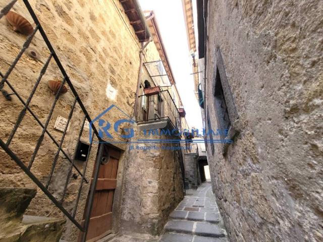 Casa indipendente in vendita a Bagnoregio VT
