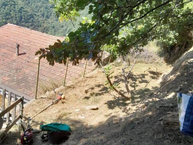 Casa indipendente in vendita a Bargagli GE