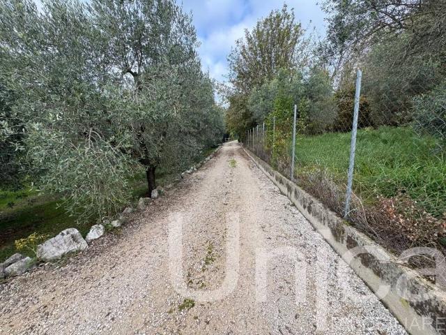 Casa indipendente in vendita a Bassiano LT