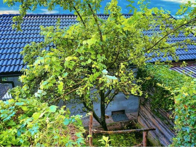 Casa indipendente in vendita a Beura Cardezza VB