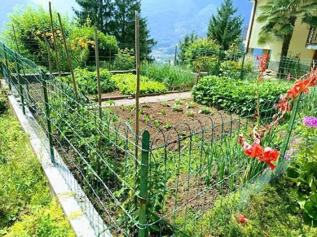 Casa indipendente in vendita a Beura Cardezza VB