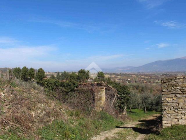 Casa indipendente in vendita a Bevagna PG