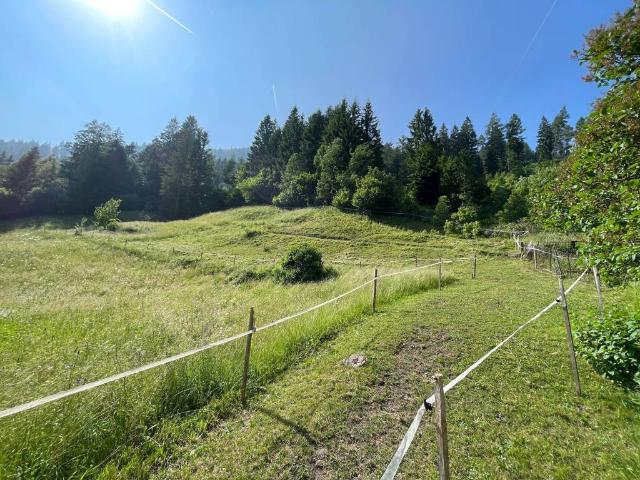 Casa indipendente in vendita a Bedollo TN