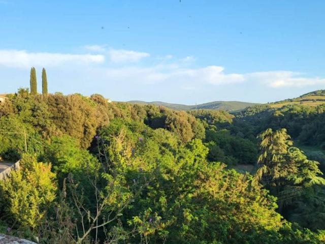 Casa indipendente in vendita a Blera VT