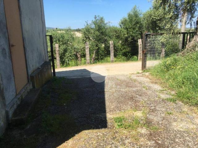 Appartamento in vendita a Briatico VV