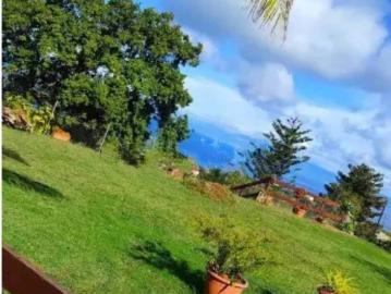 Casa indipendente in vendita a Briatico VV
