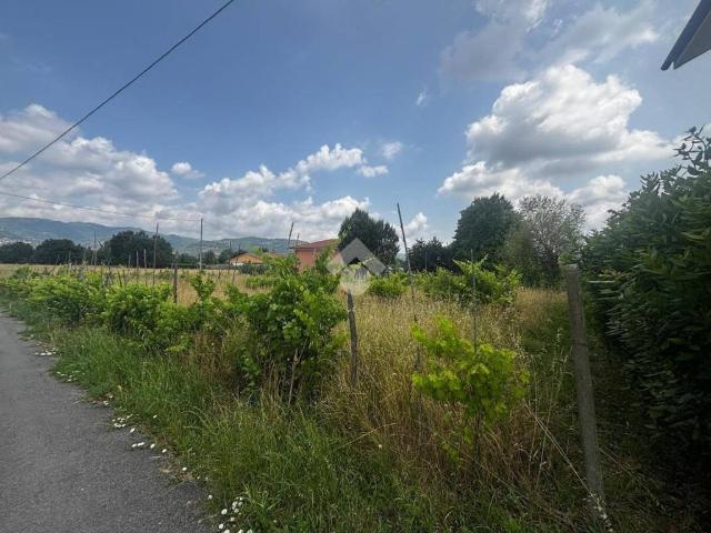 Casa indipendente in vendita a Buggiano PT