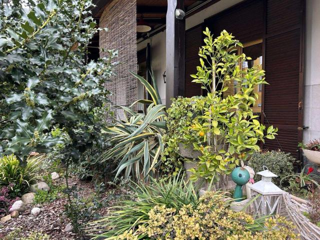 Casa indipendente in vendita a Busto Arsizio