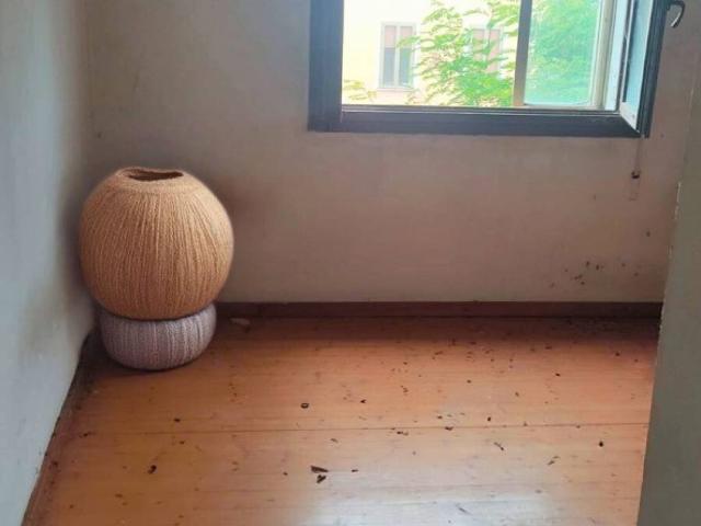 Casa indipendente in vendita a Gavello RO