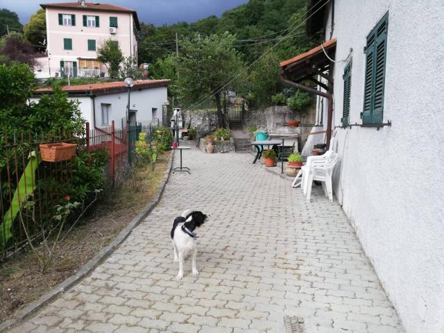 Casa indipendente in vendita a Genova GE