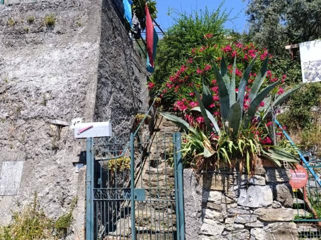 Casa indipendente in vendita a Genova GE