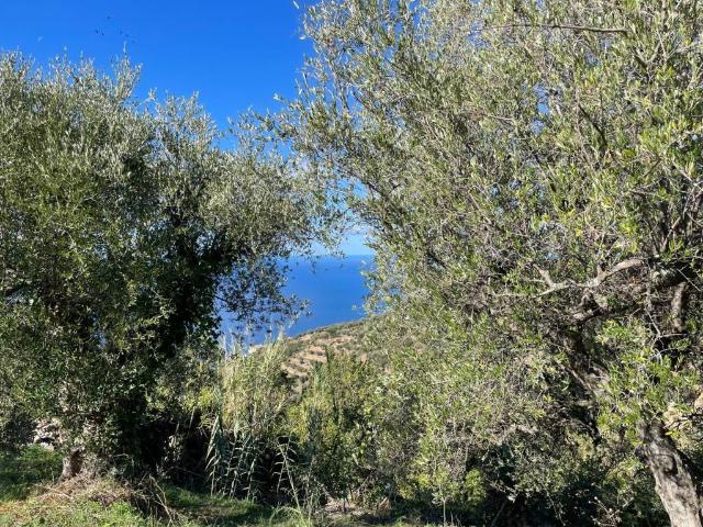 Casa indipendente in vendita a Gioiosa Marea ME