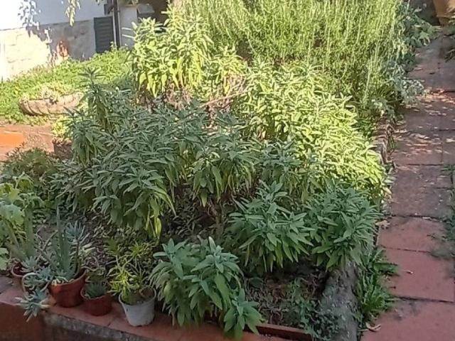 Casa indipendente in vendita a Greve in Chianti FI