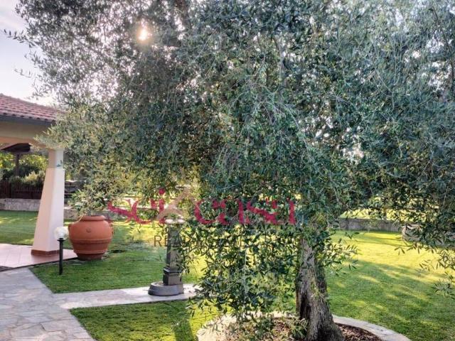 Casa indipendente in vendita a Grosseto GR