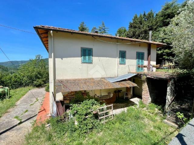 Casa indipendente in vendita a Dicomano FI