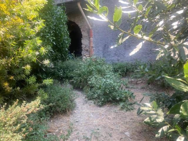 Casa indipendente in vendita a Erli SV