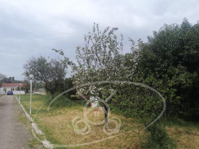 Casa indipendente in vendita a Foggia
