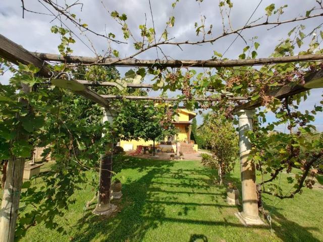 Casa indipendente in vendita a Fauglia PI