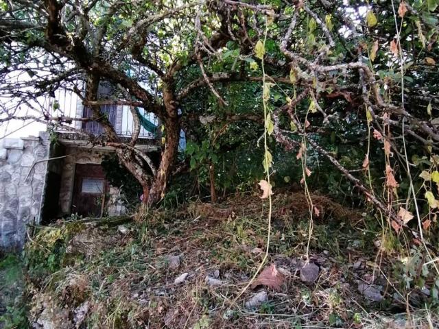 Casa indipendente in vendita a Fabbrica Curone AL