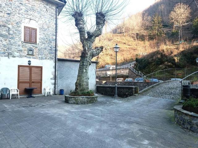 Casa indipendente in vendita a Fabbriche di Vergemoli LU