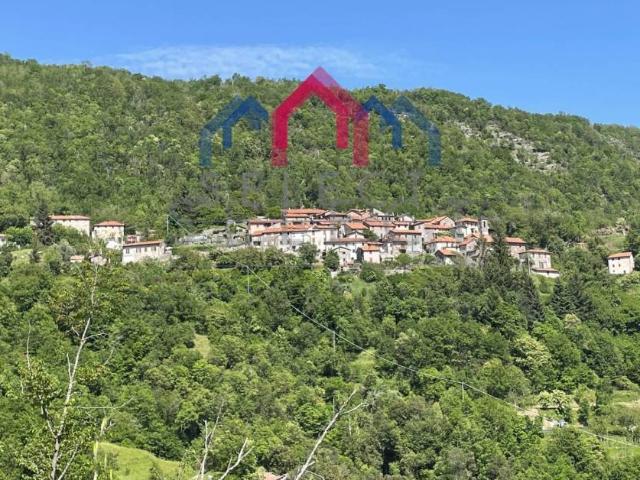 Casa indipendente in vendita a Fabbriche di Vergemoli LU
