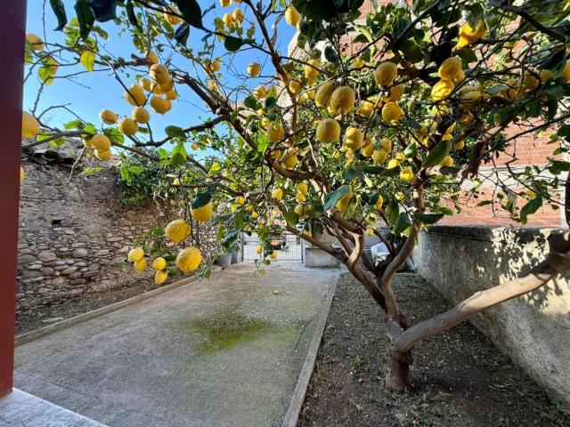 Casa indipendente in vendita a Falcone ME