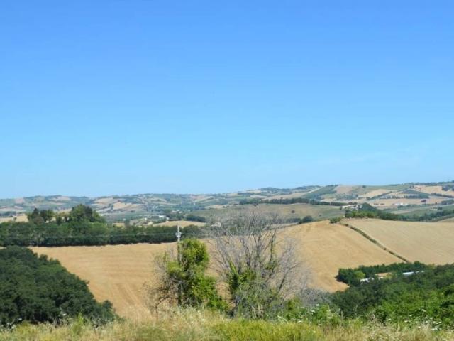 Casa indipendente in vendita a Filottrano AN