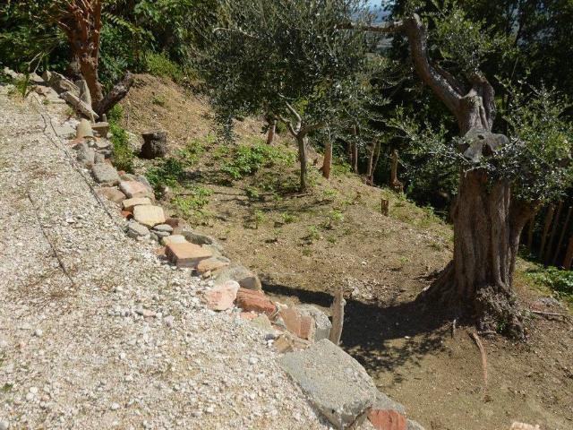 Casa indipendente in vendita a Offagna AN