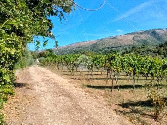 Casa indipendente in vendita a Olevano Romano