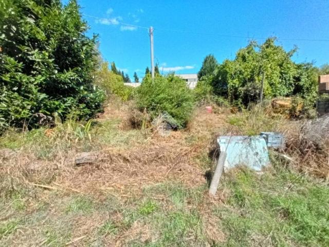 Casa indipendente in vendita a Olevano Romano RM