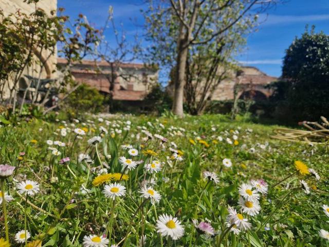 Casa indipendente in vendita a Olivola AL