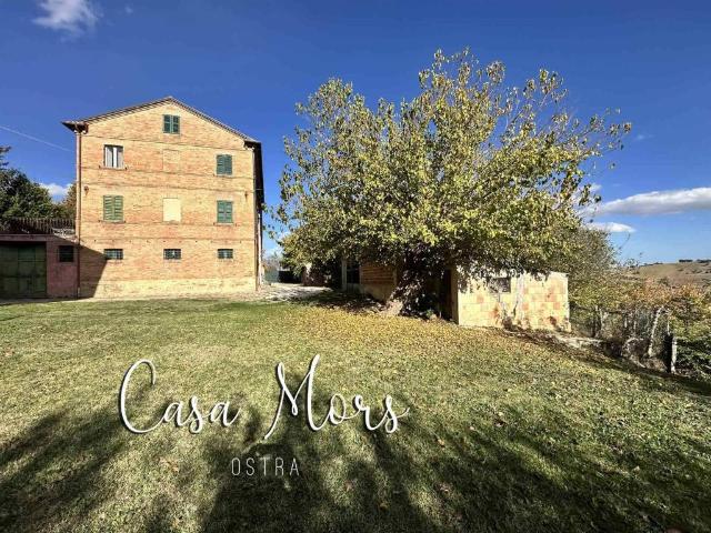 Casa indipendente in vendita a Ostra AN