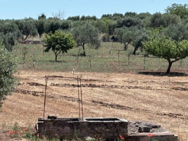 Casa indipendente in vendita a Ostuni BR
