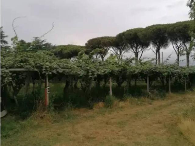 Casa indipendente in vendita a Latina LT