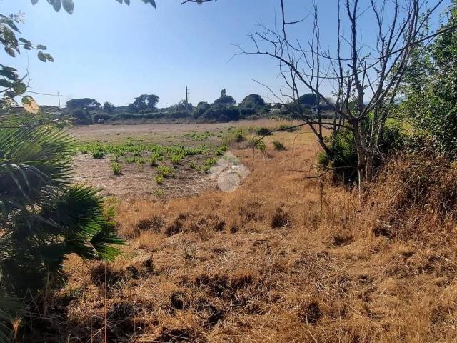 Casa indipendente in vendita a Ladispoli RM