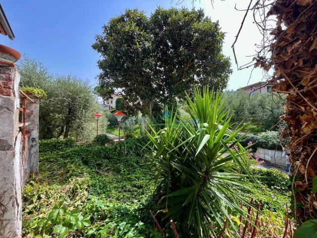 Casa indipendente in vendita a Larciano PT