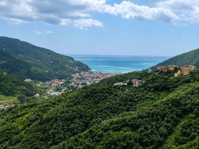 Casa indipendente in vendita a Levanto SP