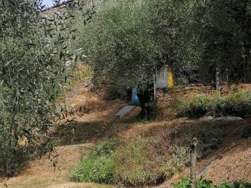 Casa indipendente in vendita a Lucca LU